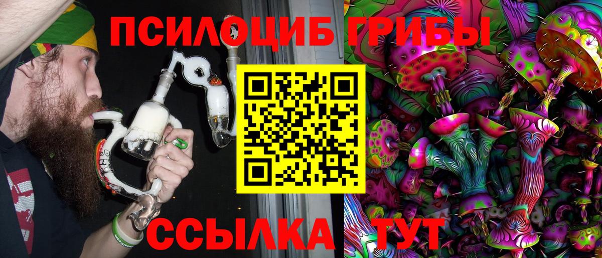 Псилоцибиновые грибы Magic Shrooms  Вход с VPN  Соликамск  Псилоцибиновые грибы Psilocybe 